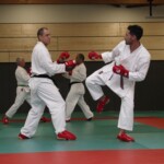 Karaté Section KARATE